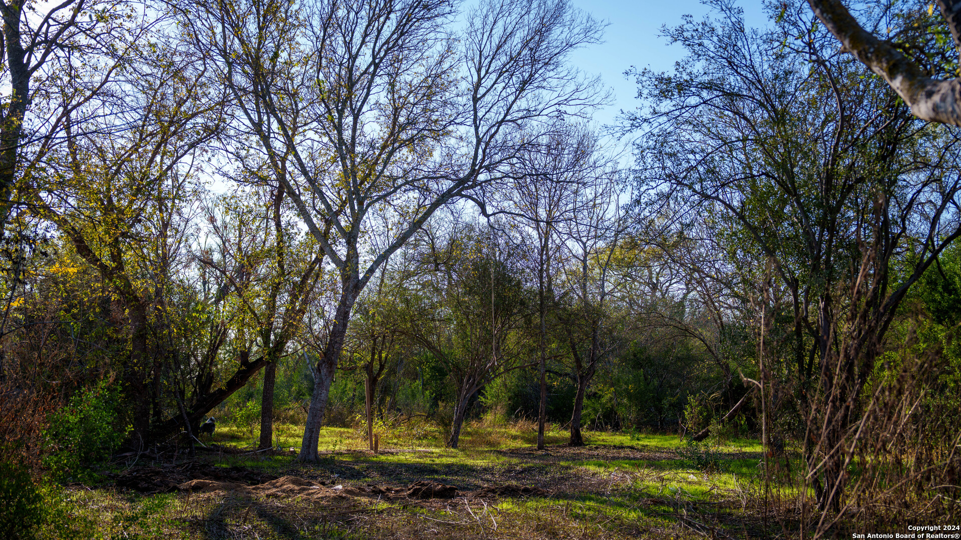 Tbd Highway 1604 , Elmendorf, TX, 78112 | 1832377 | Realty Texas LLC
