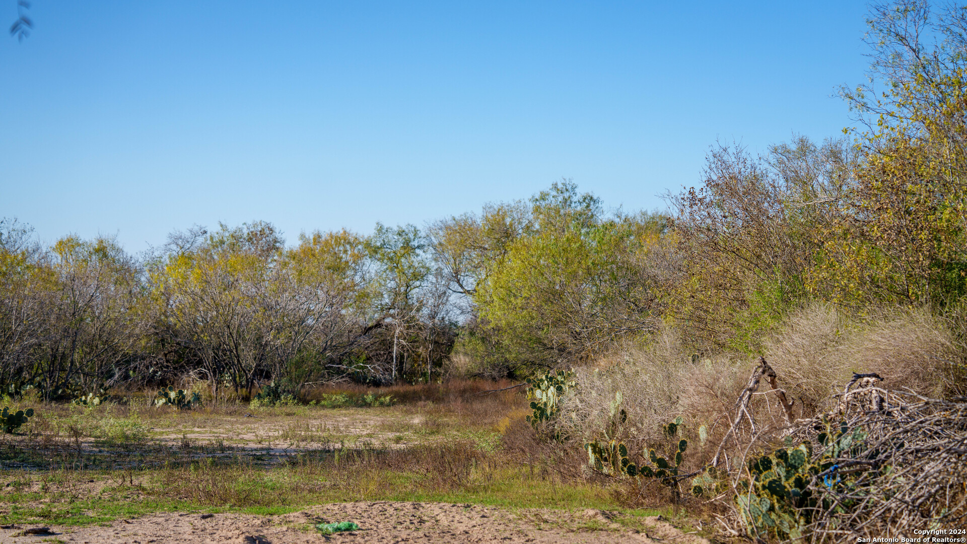 Tbd Highway 1604 , Elmendorf, TX, 78112 | 1832377 | Realty Texas LLC