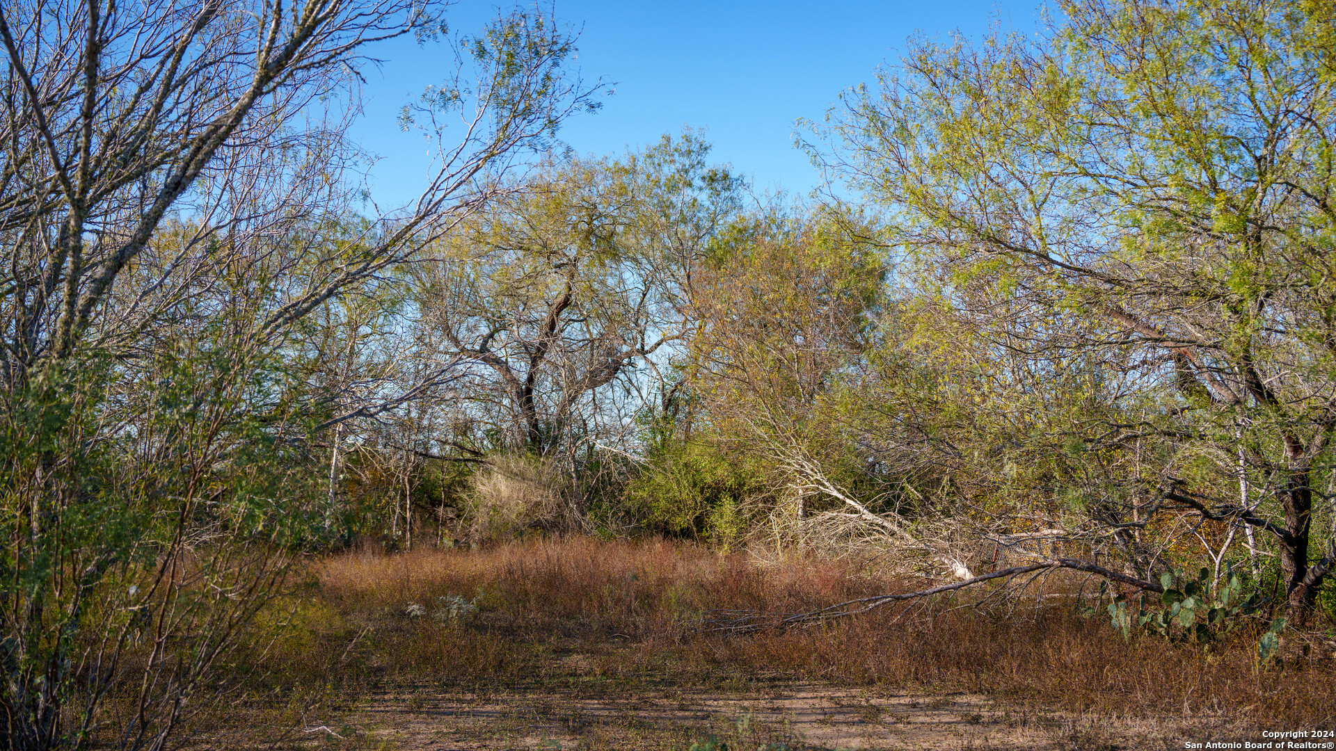 Tbd Highway 1604 , Elmendorf, TX, 78112 | 1832377 | Realty Texas LLC