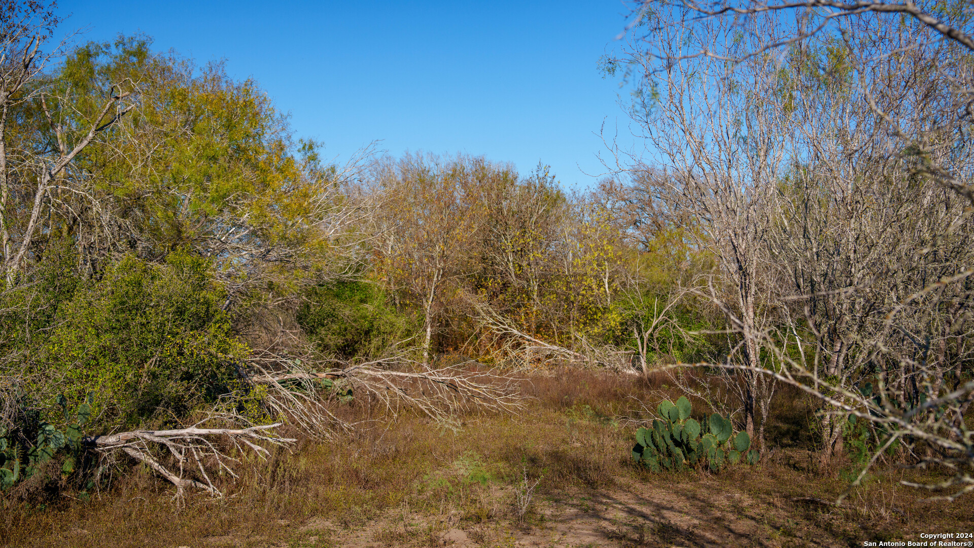 Tbd Highway 1604 , Elmendorf, TX, 78112 | 1832377 | Realty Texas LLC