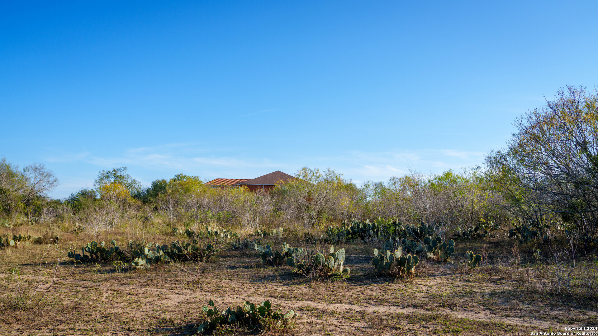 Tbd Highway 1604 , Elmendorf, TX, 78112 | 1832377 | Realty Texas LLC