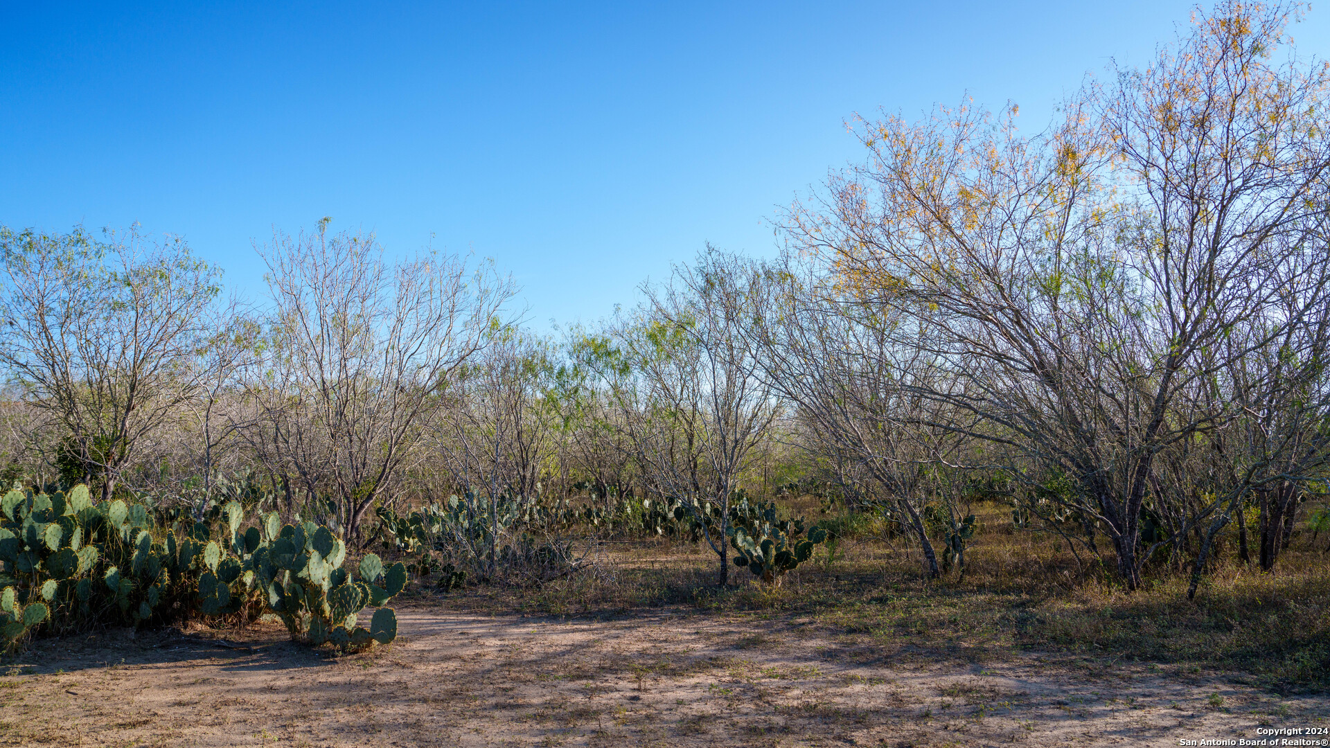Tbd Highway 1604 , Elmendorf, TX, 78112 | 1832377 | Realty Texas LLC