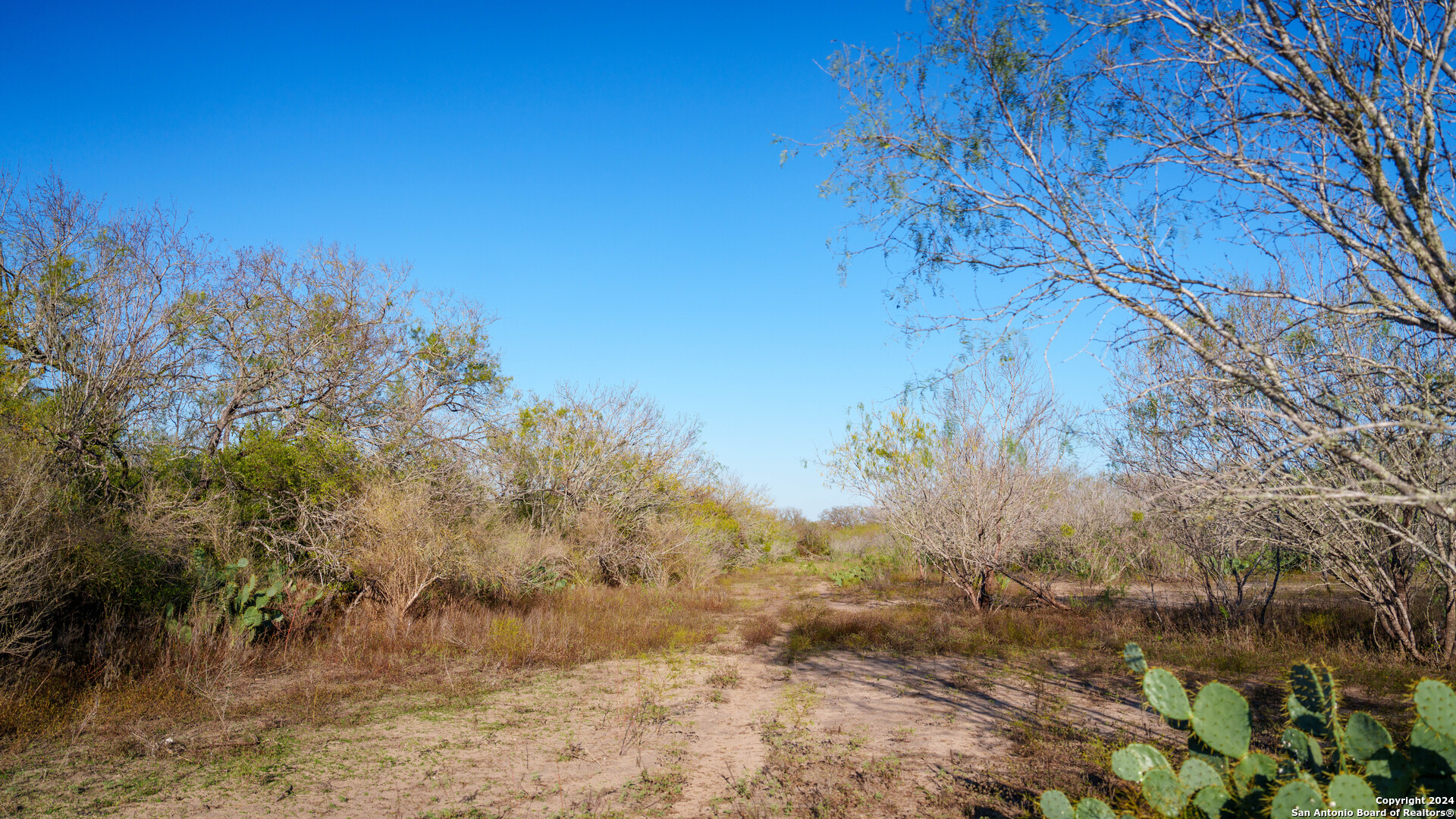 Tbd Highway 1604 , Elmendorf, TX, 78112 | 1832377 | Realty Texas LLC