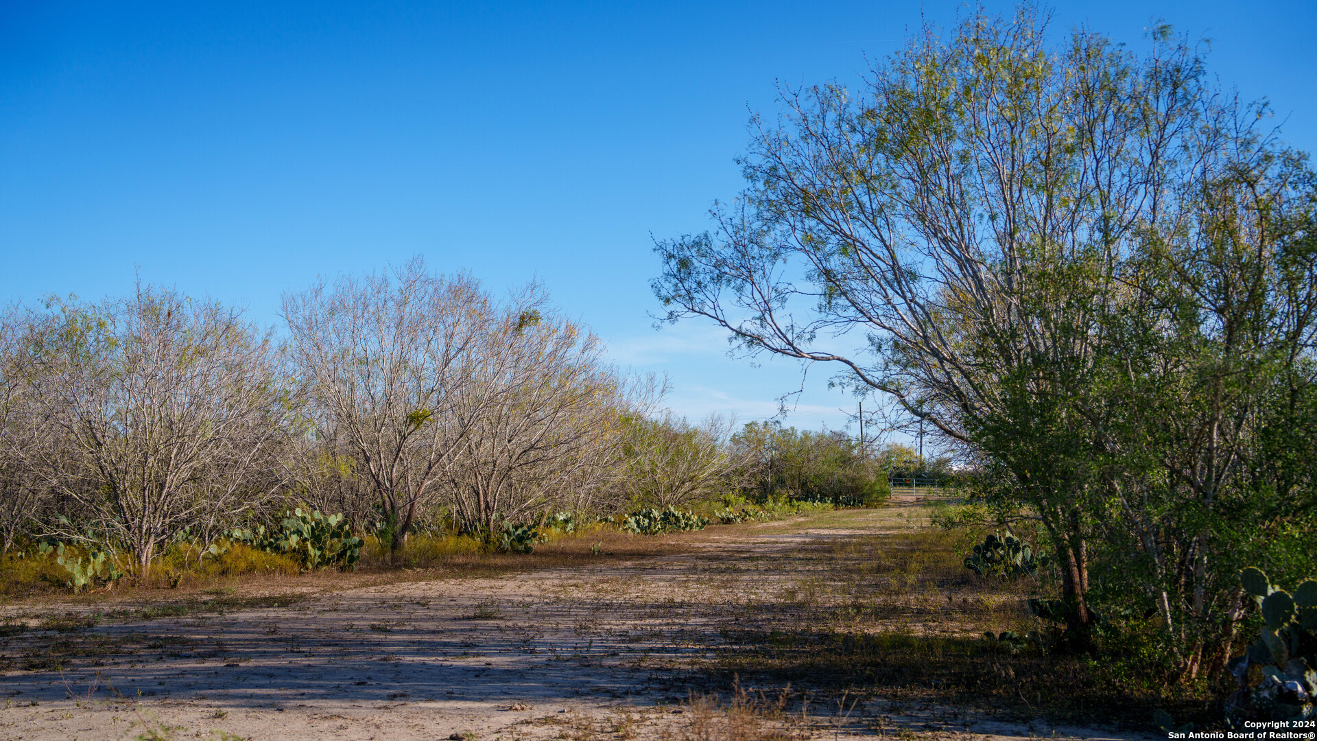 Tbd Highway 1604 , Elmendorf, TX, 78112 | 1832377 | Realty Texas LLC