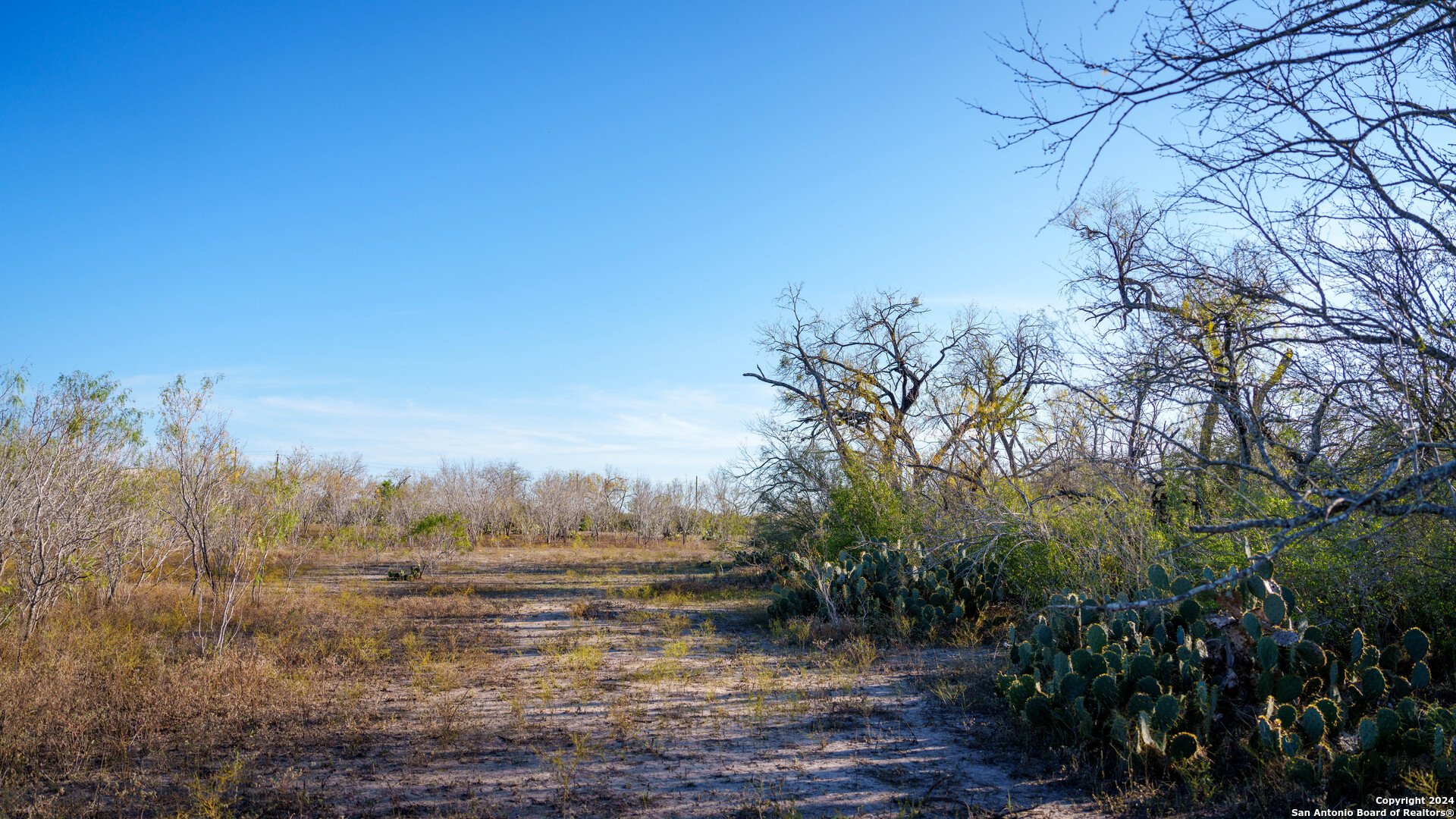 Tbd Highway 1604 , Elmendorf, TX, 78112 | 1832377 | Realty Texas LLC