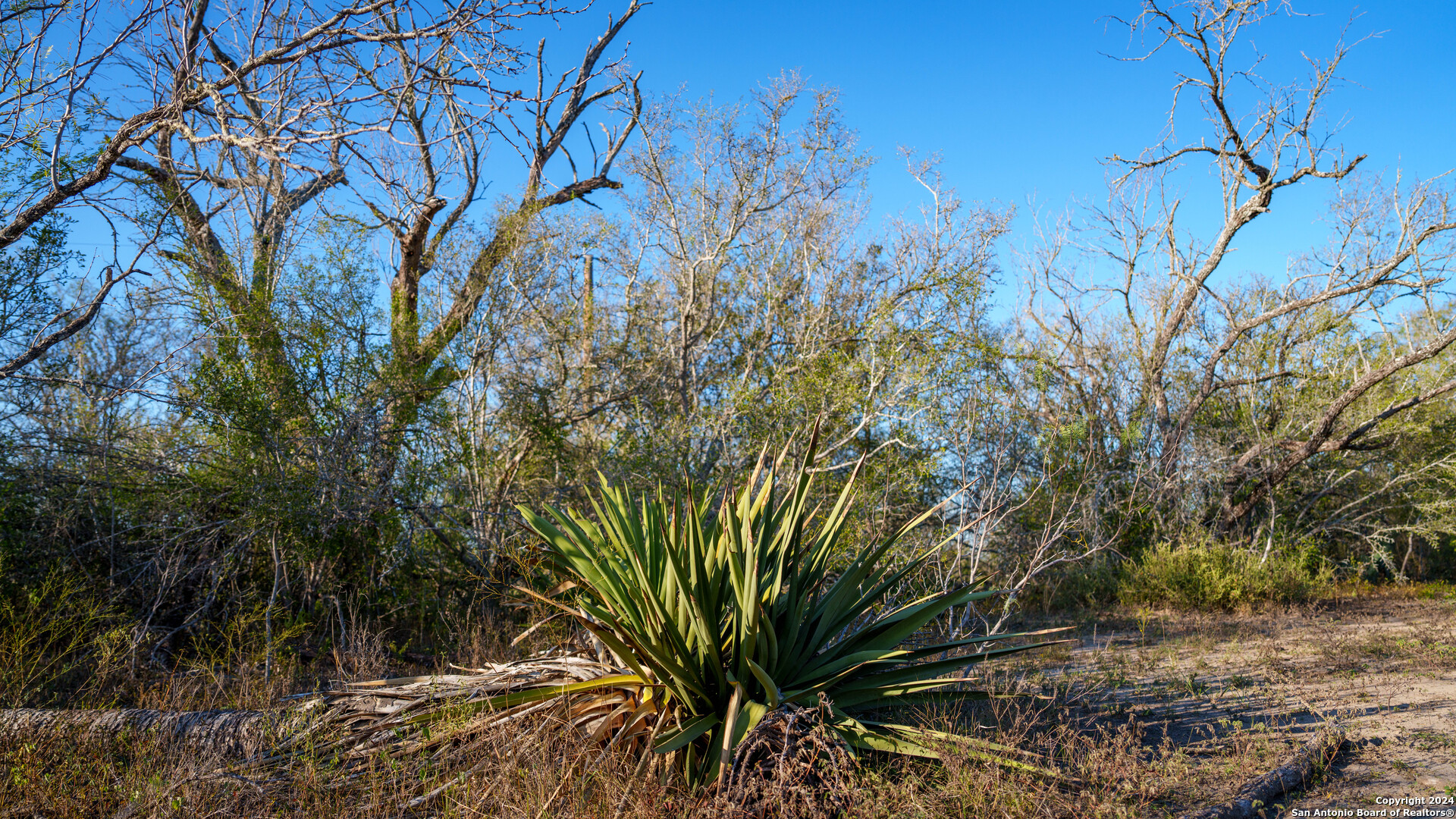 Tbd Highway 1604 , Elmendorf, TX, 78112 | 1832377 | Realty Texas LLC