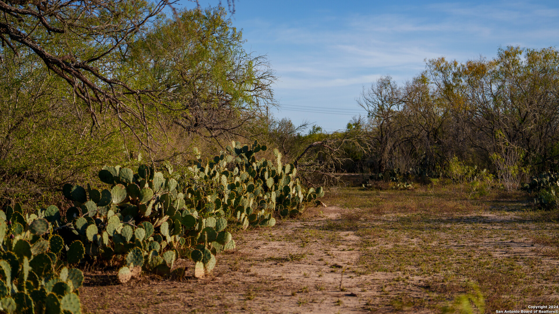 Tbd Highway 1604 , Elmendorf, TX, 78112 | 1832377 | Realty Texas LLC