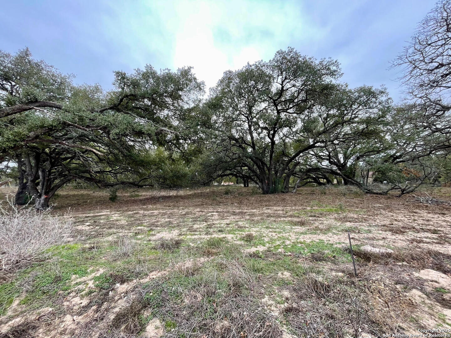 100 Pradera Ridge, FLORESVILL, TX, 78114 | 1833553 | Realty Texas LLC