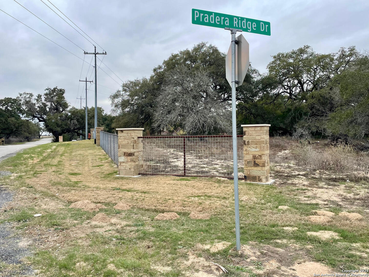 100 Pradera Ridge, FLORESVILL, TX, 78114 | 1833553 | Realty Texas LLC