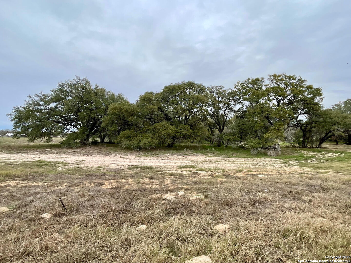 100 Pradera Ridge, FLORESVILL, TX, 78114 | 1833553 | Realty Texas LLC