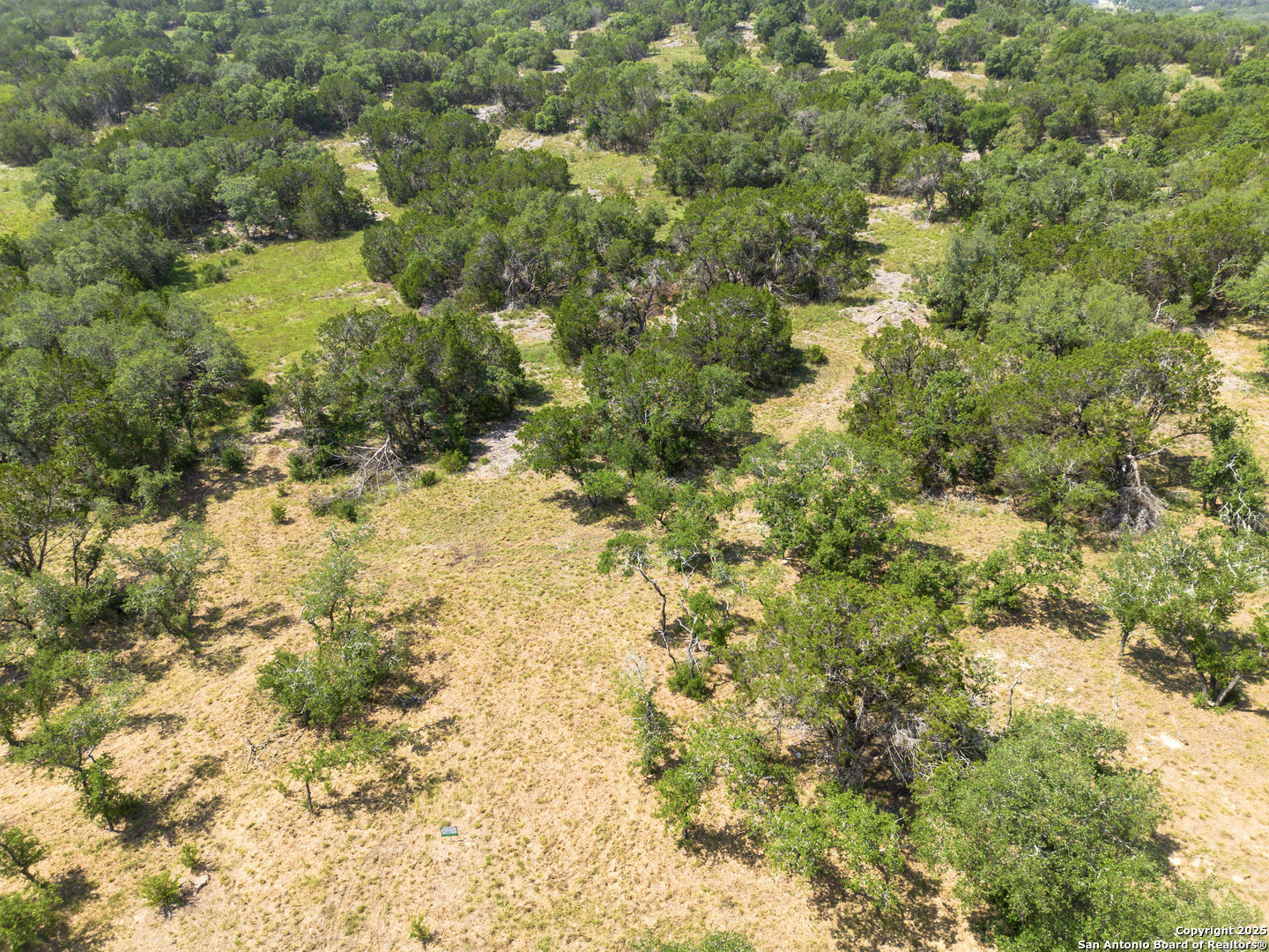 829 Earle Oak, BULVERDE, TX, 78163 | 1834137 | Realty Texas LLC