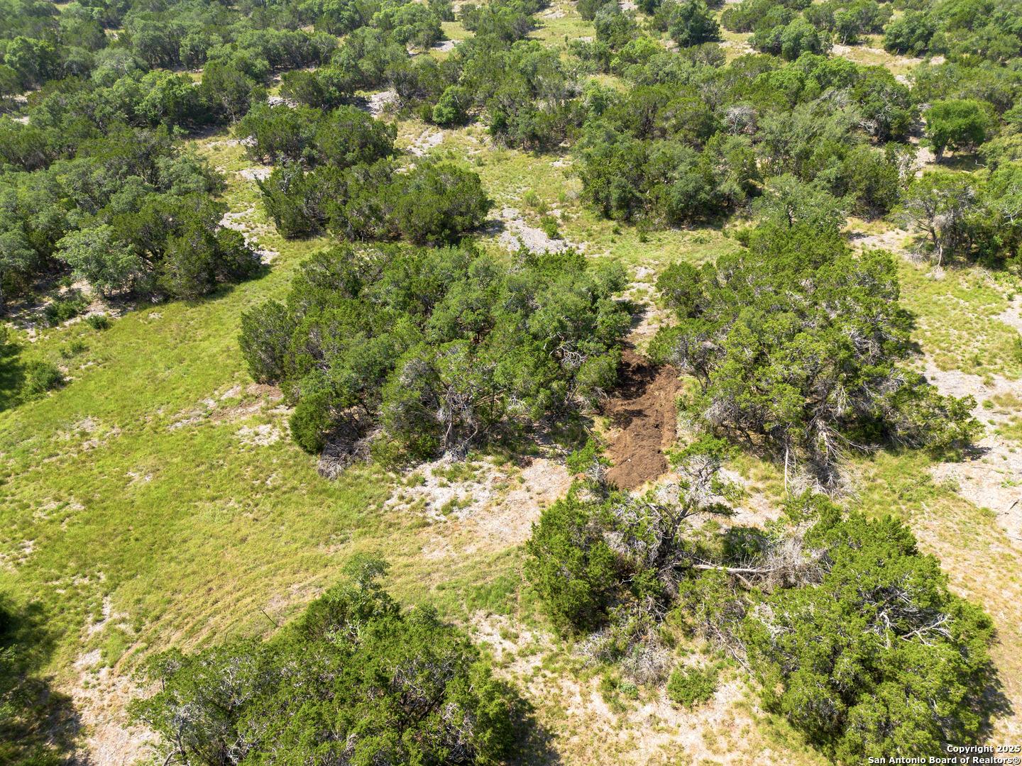 829 Earle Oak, BULVERDE, TX, 78163 | 1834137 | Realty Texas LLC