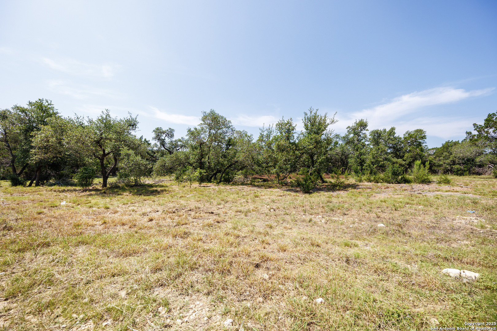 829 Earle Oak, BULVERDE, TX, 78163 | 1834137 | Realty Texas LLC