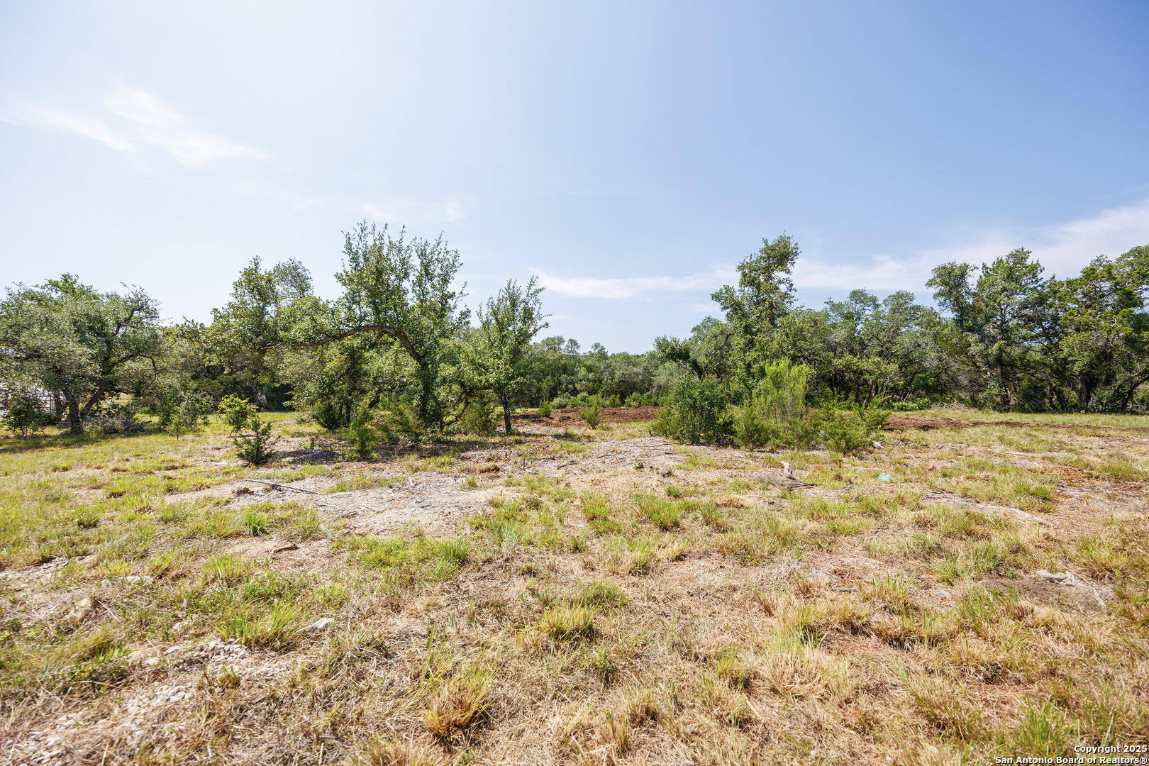 829 Earle Oak, BULVERDE, TX, 78163 | 1834137 | Realty Texas LLC