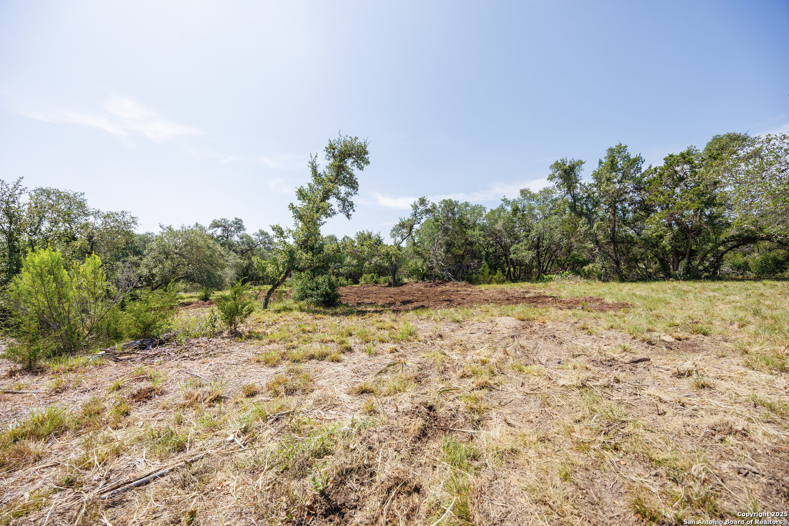 829 Earle Oak, BULVERDE, TX, 78163 | 1834137 | Realty Texas LLC