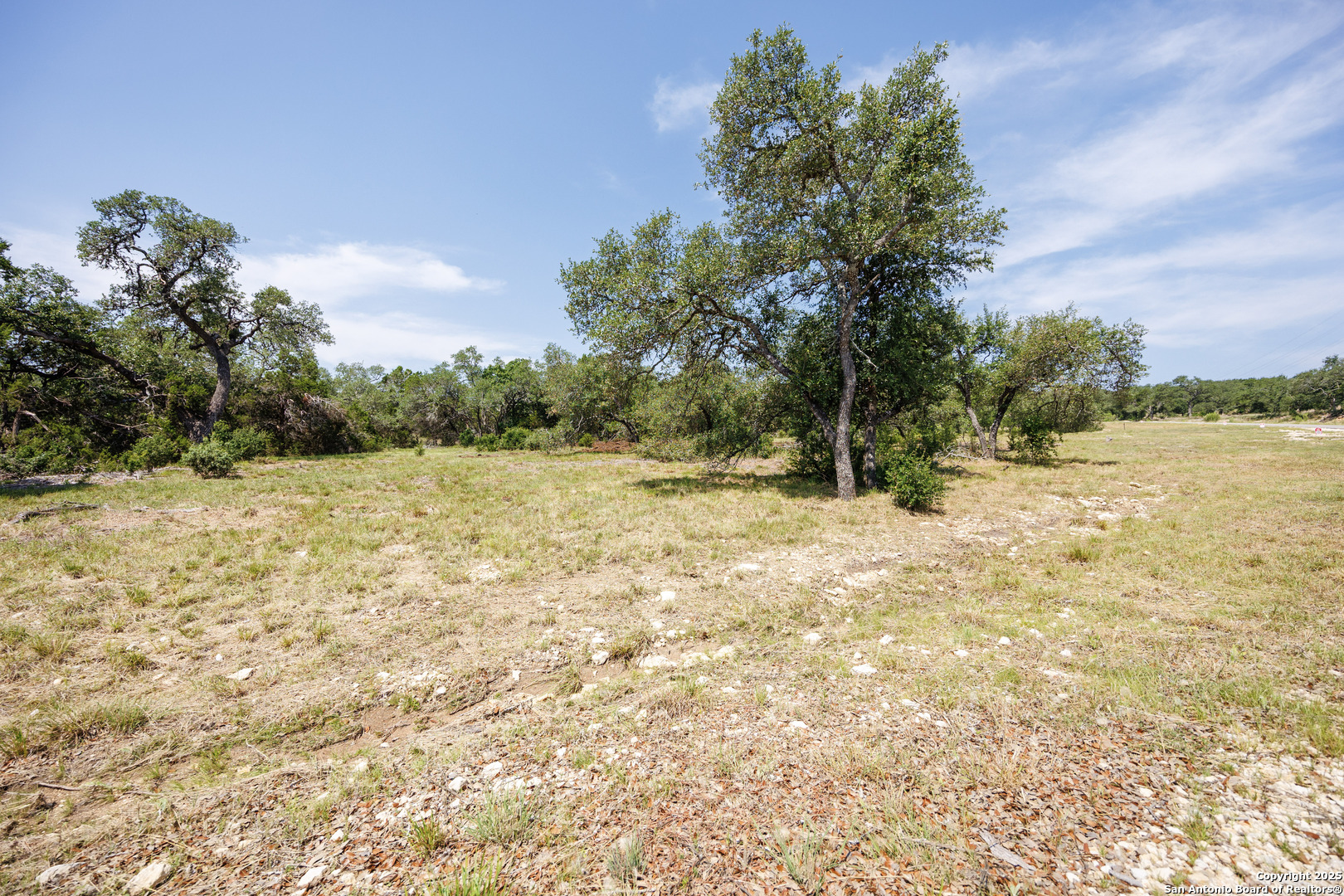 829 Earle Oak, BULVERDE, TX, 78163 | 1834137 | Realty Texas LLC
