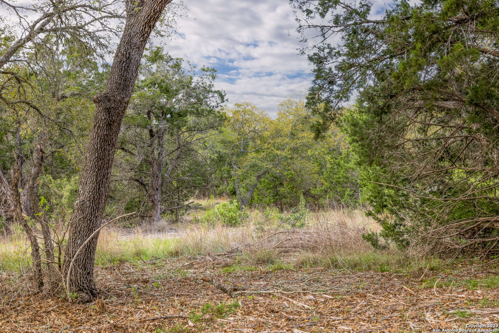 829 Earle Oak, BULVERDE, TX, 78163 | 1834137 | Realty Texas LLC