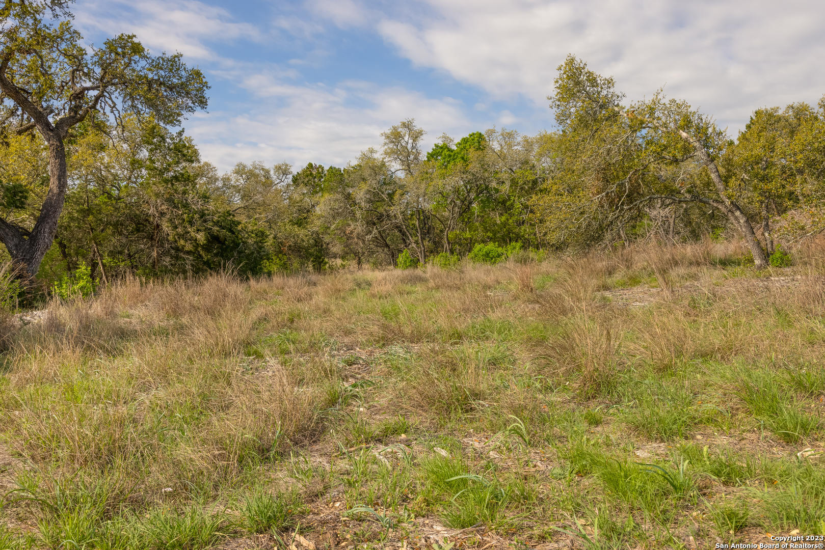 829 Earle Oak, BULVERDE, TX, 78163 | 1834137 | Realty Texas LLC