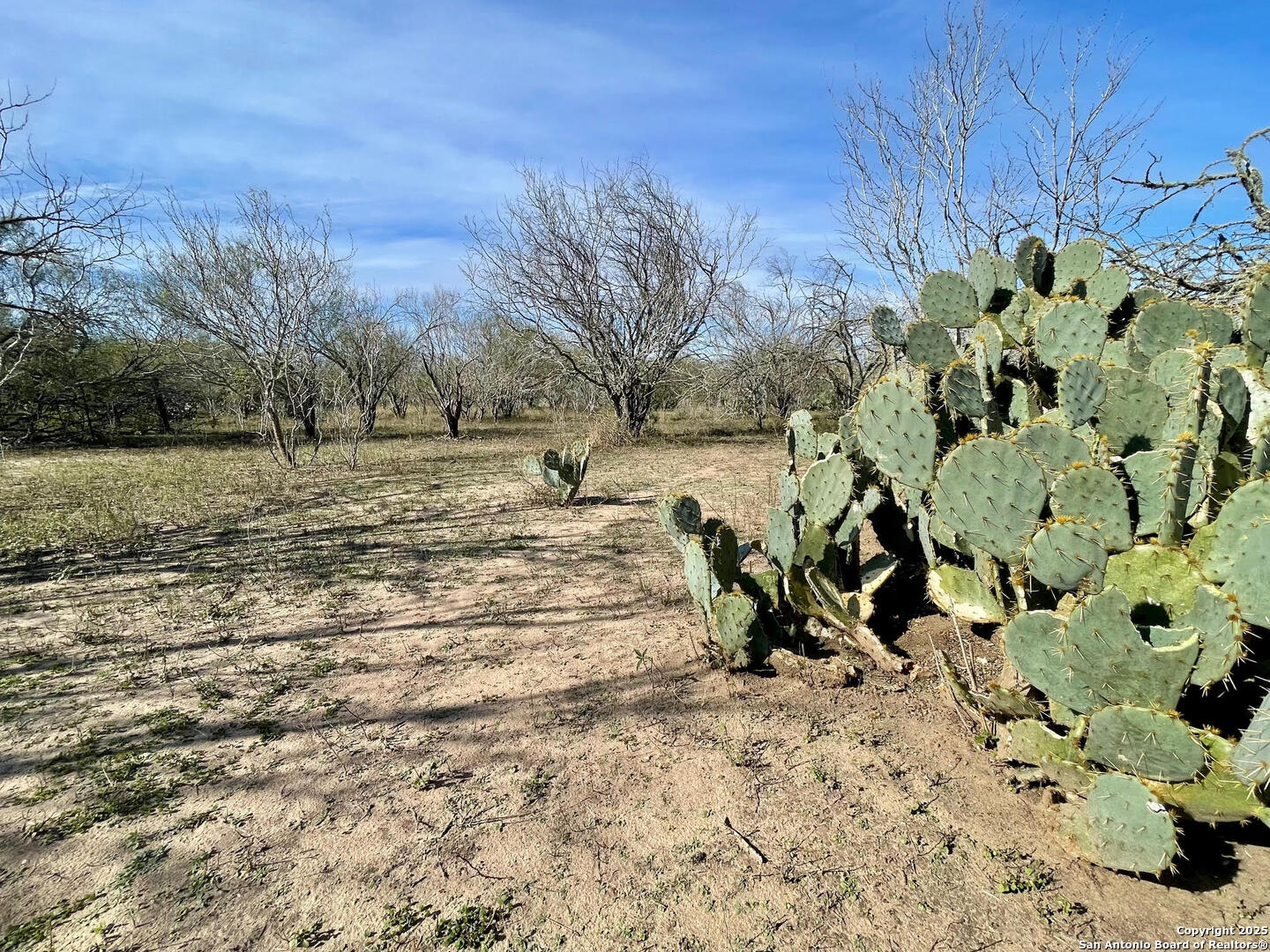 Tract 1 County Road 158 , Kenedy, TX, 78119 | 1834541 | Realty Texas LLC