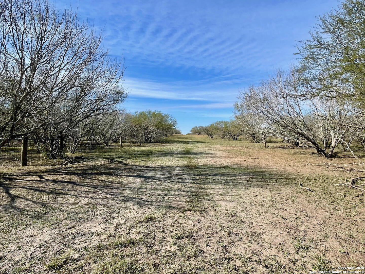 Tract 1 County Road 158 , Kenedy, TX, 78119 | 1834541 | Realty Texas LLC