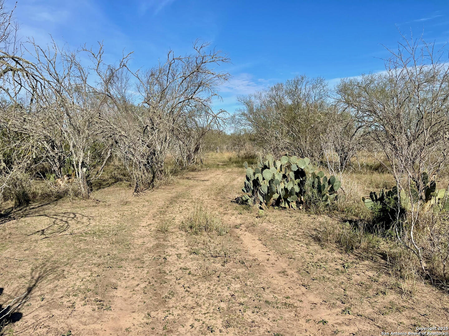 Tract 1 County Road 158 , Kenedy, TX, 78119 | 1834541 | Realty Texas LLC