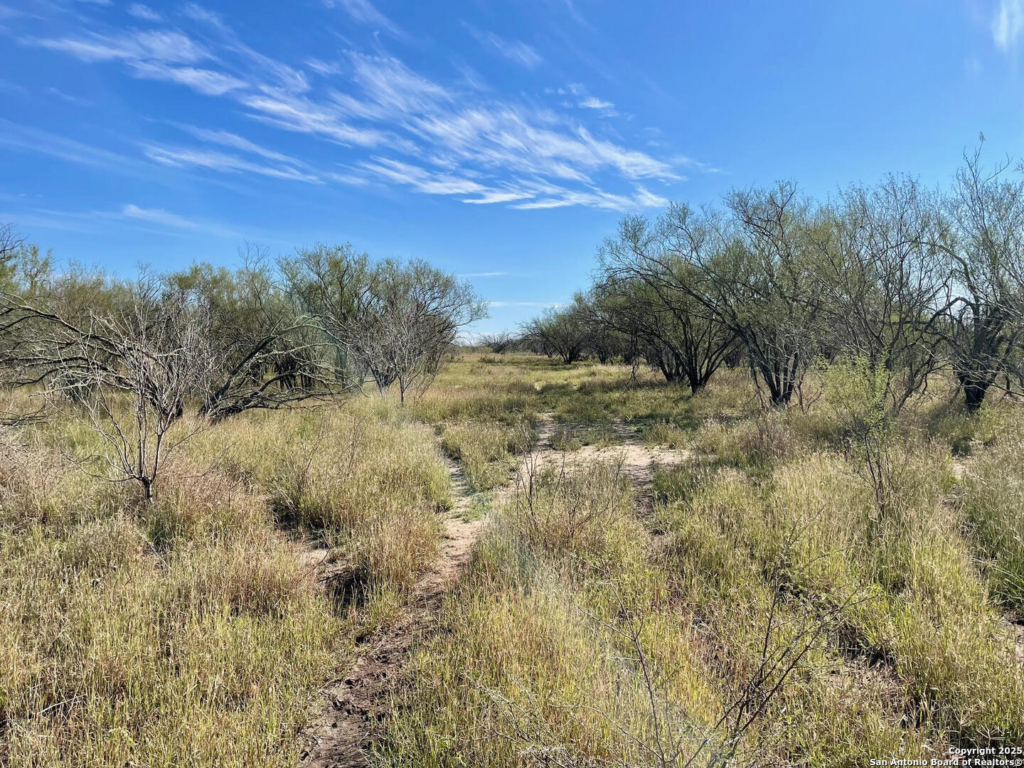 Tract 1 County Road 158 , Kenedy, TX, 78119 | 1834541 | Realty Texas LLC