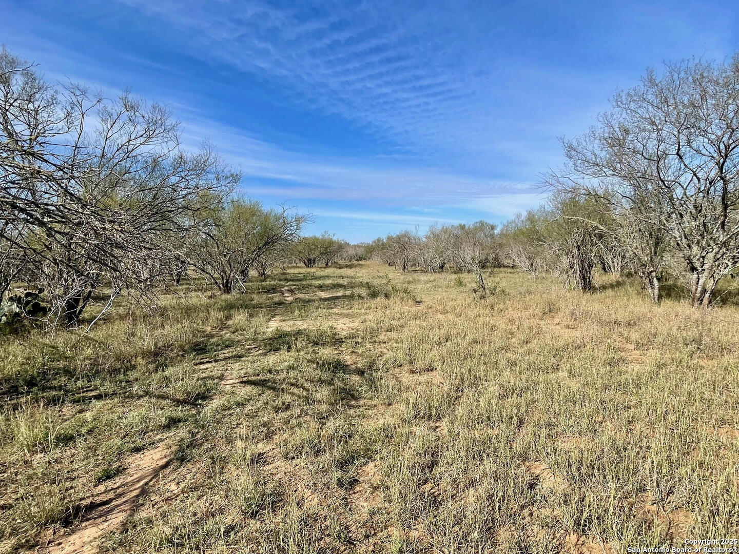 Tract 1 County Road 158 , Kenedy, TX, 78119 | 1834541 | Realty Texas LLC