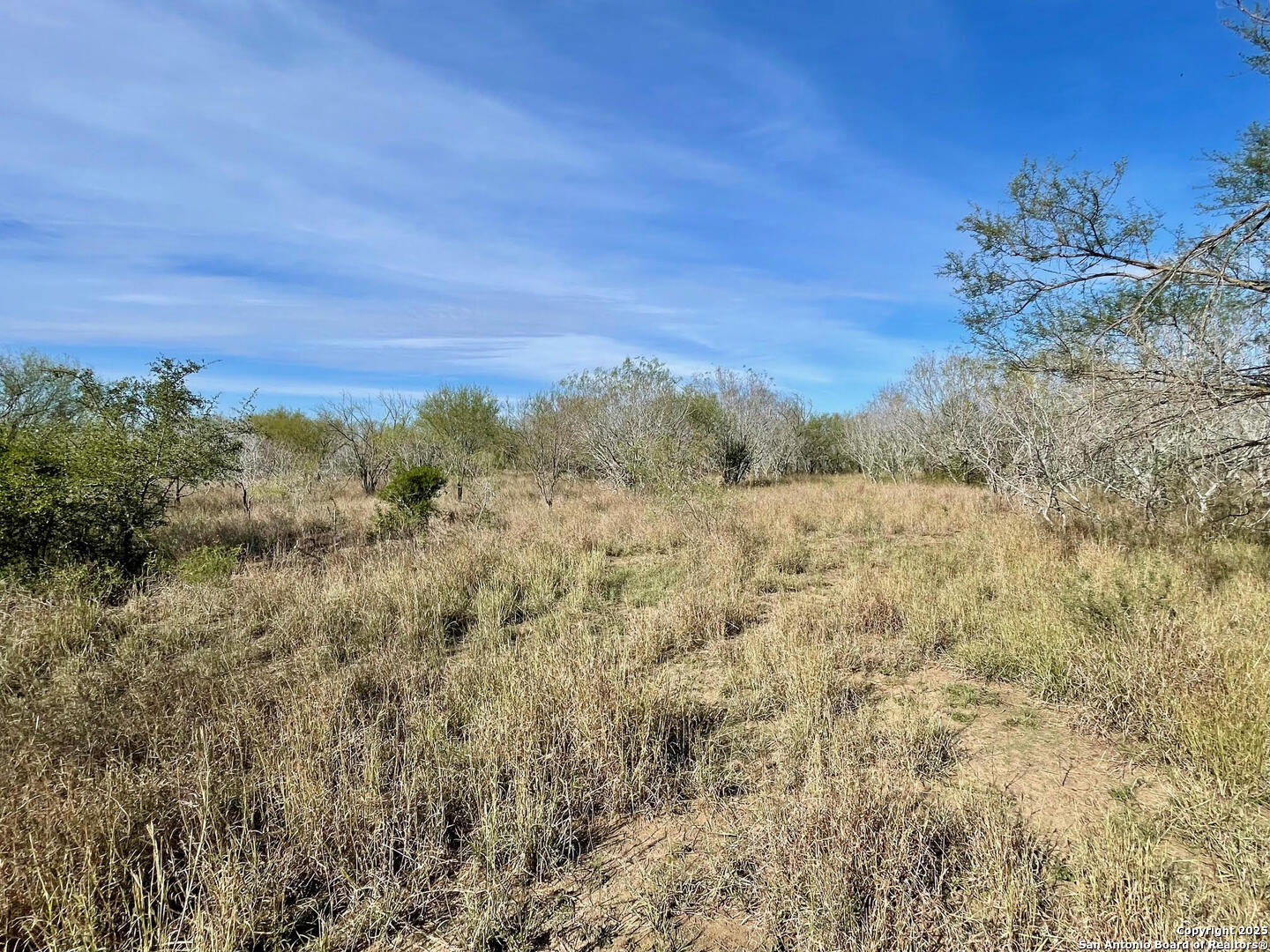 Tract 1 County Road 158 , Kenedy, TX, 78119 | 1834541 | Realty Texas LLC
