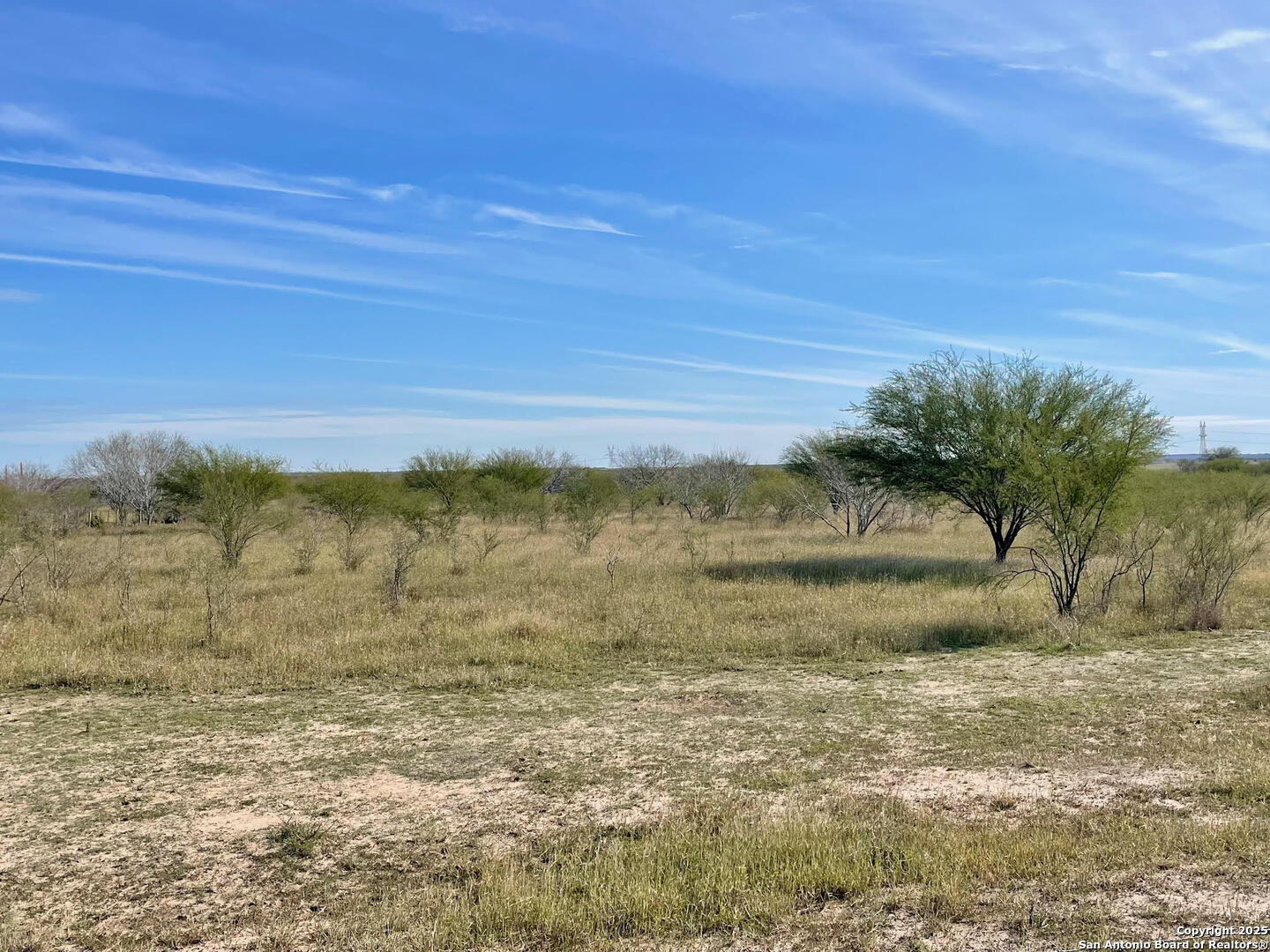 Tract 1 County Road 158 , Kenedy, TX, 78119 | 1834541 | Realty Texas LLC