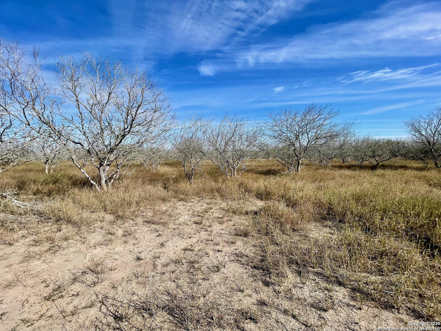 Tract 1 County Road 158 , Kenedy, TX, 78119 | 1834541 | Realty Texas LLC
