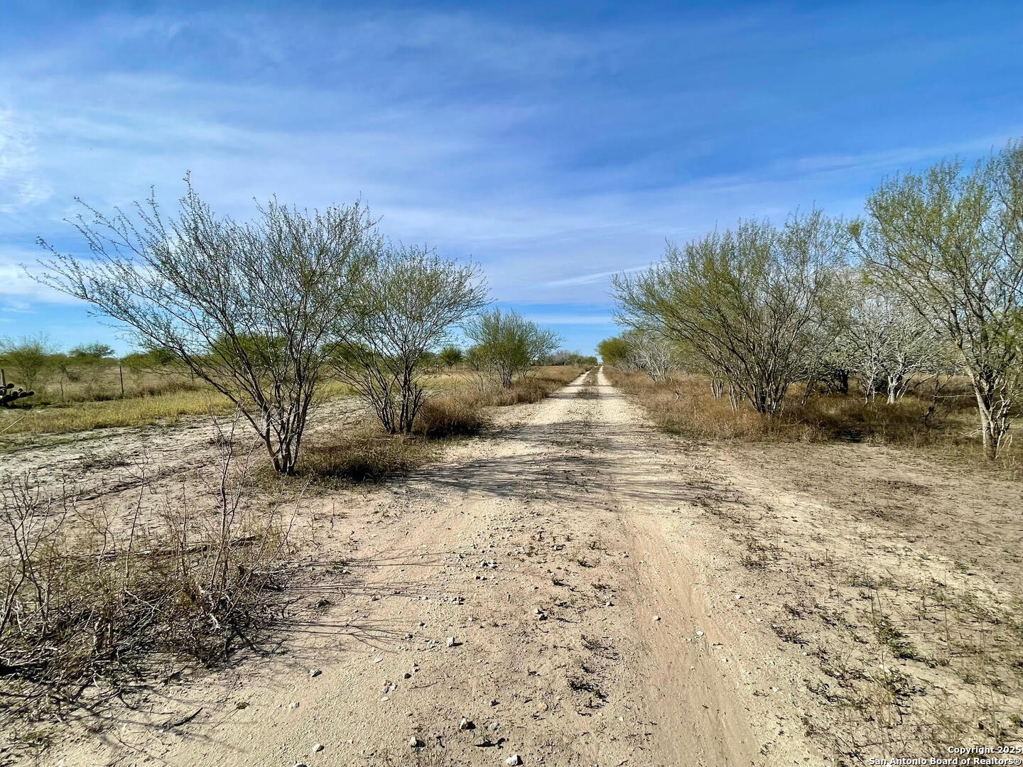 Tract 1 County Road 158 , Kenedy, TX, 78119 | 1834541 | Realty Texas LLC
