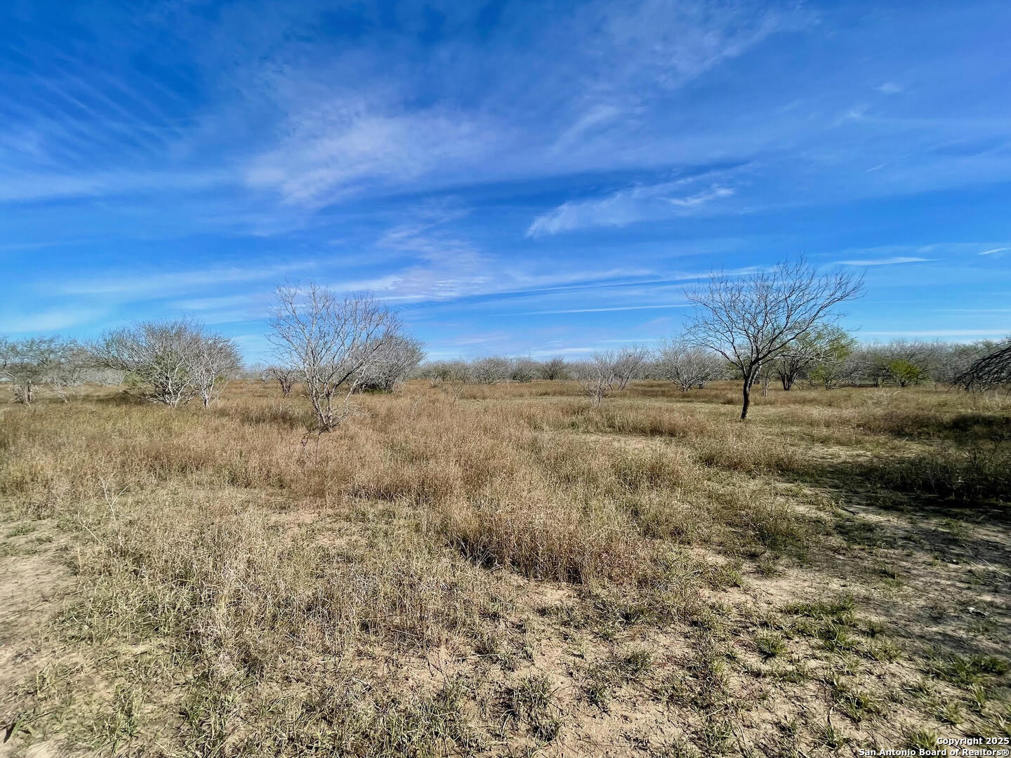 Tract 1 County Road 158 , Kenedy, TX, 78119 | 1834541 | Realty Texas LLC