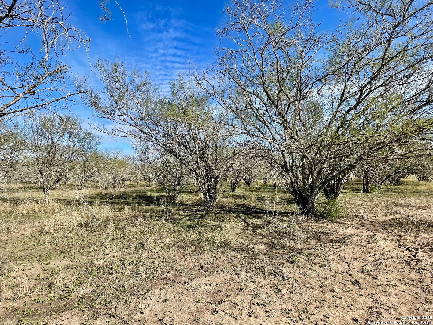 Tract 1 County Road 158 , Kenedy, TX, 78119 | 1834541 | Realty Texas LLC