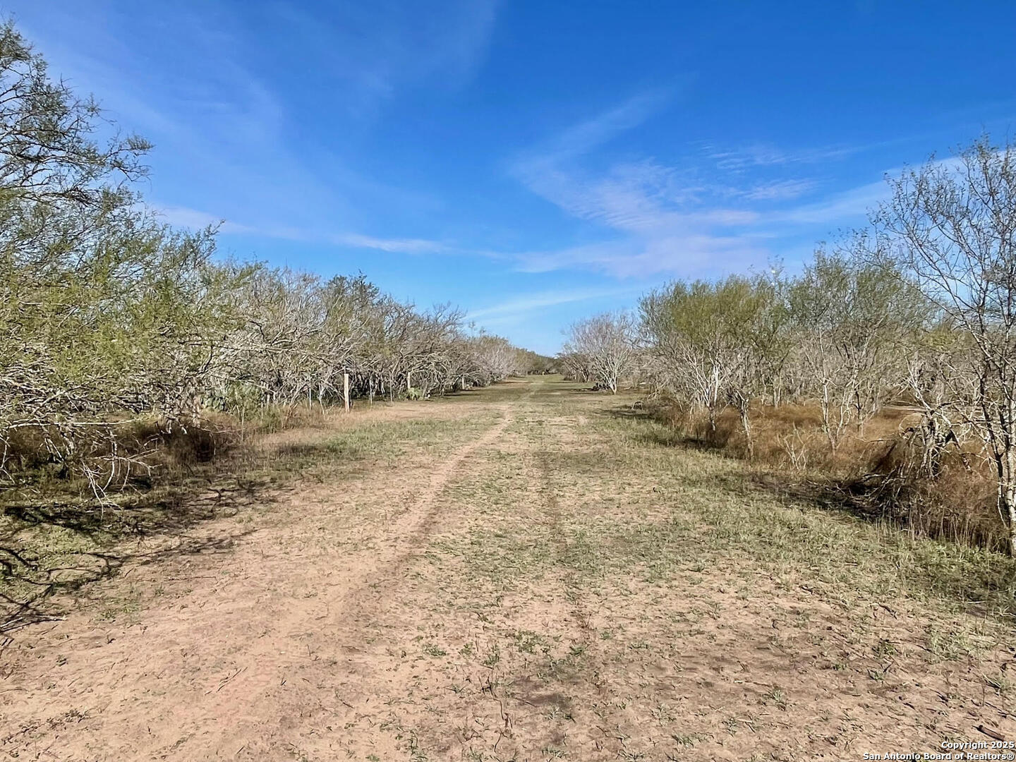Tract 1 County Road 158 , Kenedy, TX, 78119 | 1834541 | Realty Texas LLC