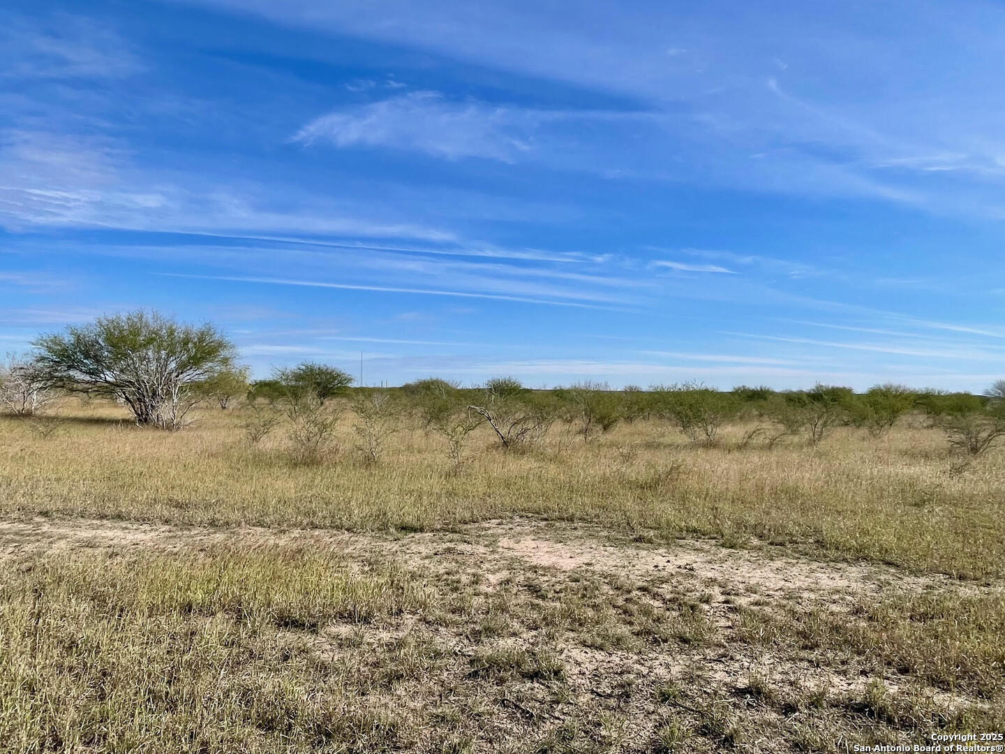 Tract 1 County Road 158 , Kenedy, TX, 78119 | 1834541 | Realty Texas LLC