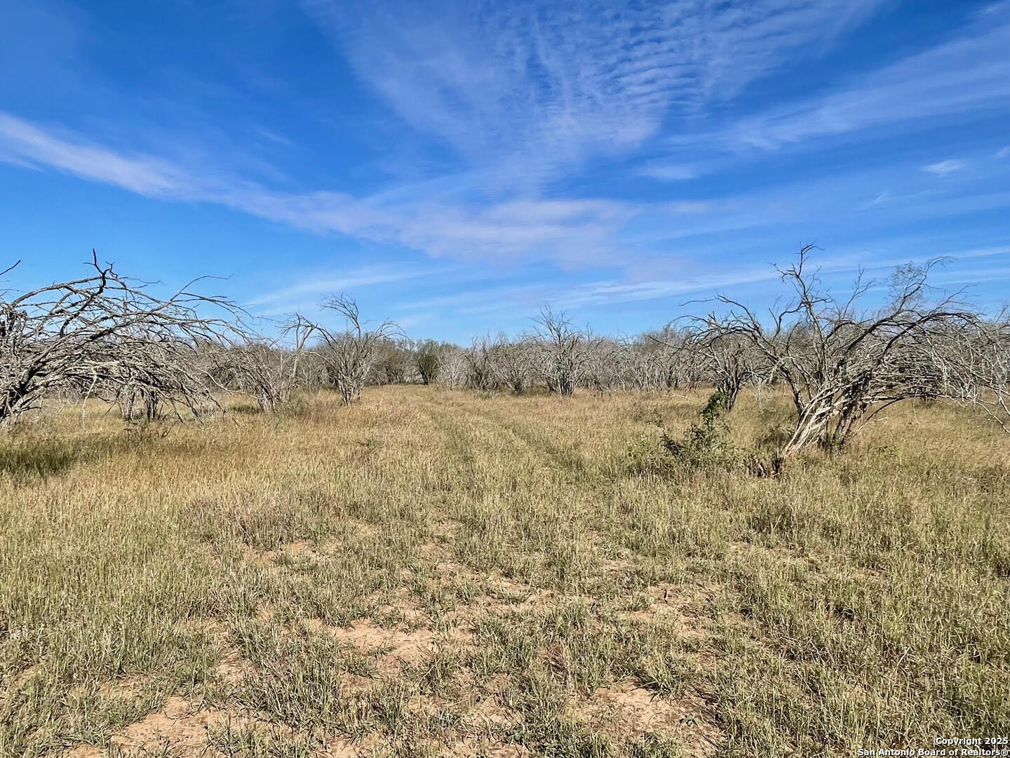 Tract 1 County Road 158 , Kenedy, TX, 78119 | 1834541 | Realty Texas LLC