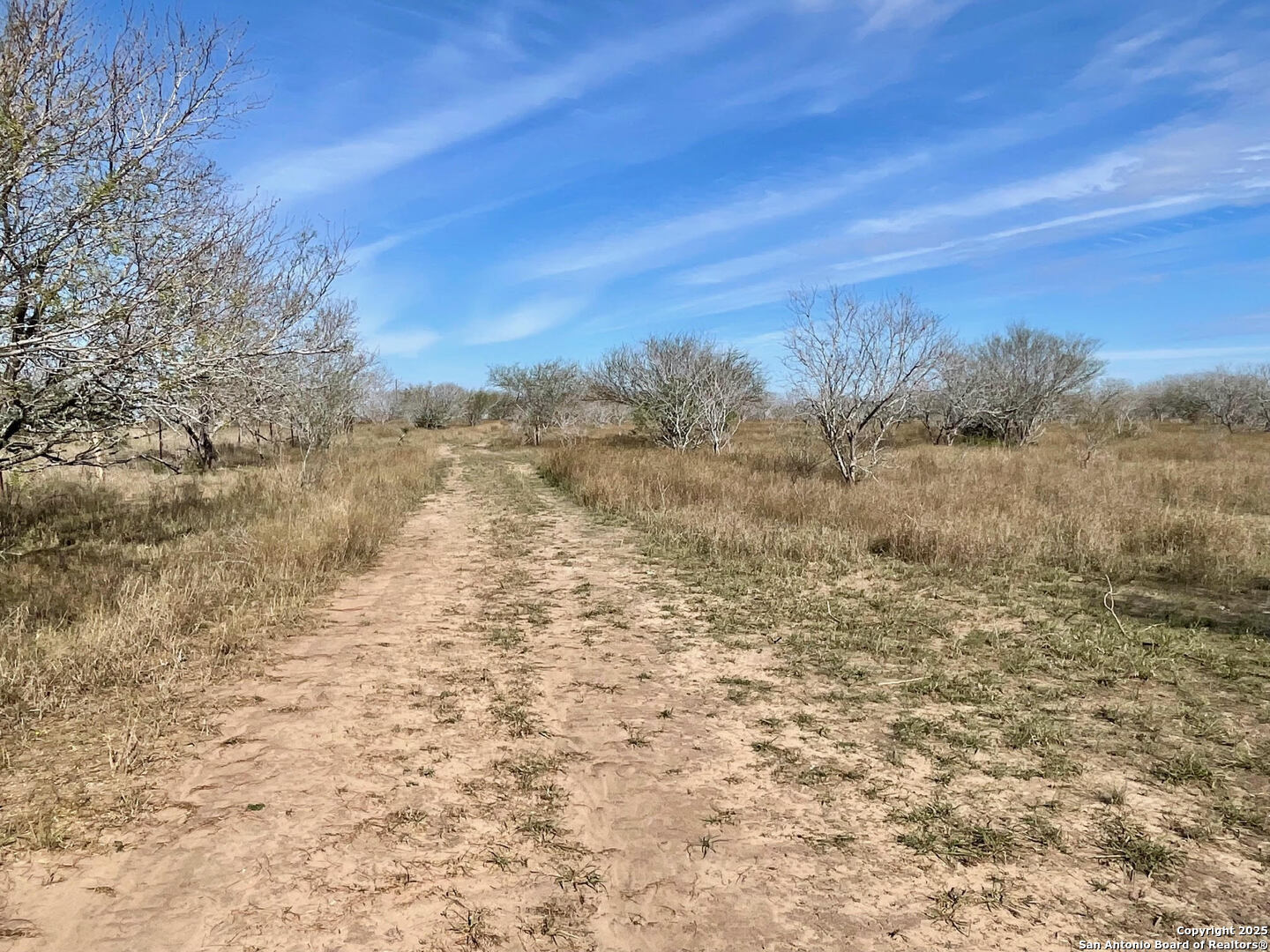 Tract 1 County Road 158 , Kenedy, TX, 78119 | 1834541 | Realty Texas LLC