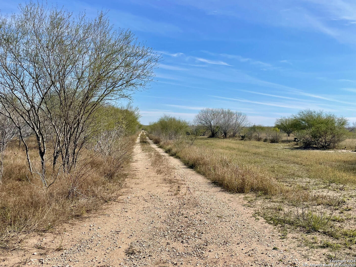 Tract 1 County Road 158 , Kenedy, TX, 78119 | 1834541 | Realty Texas LLC