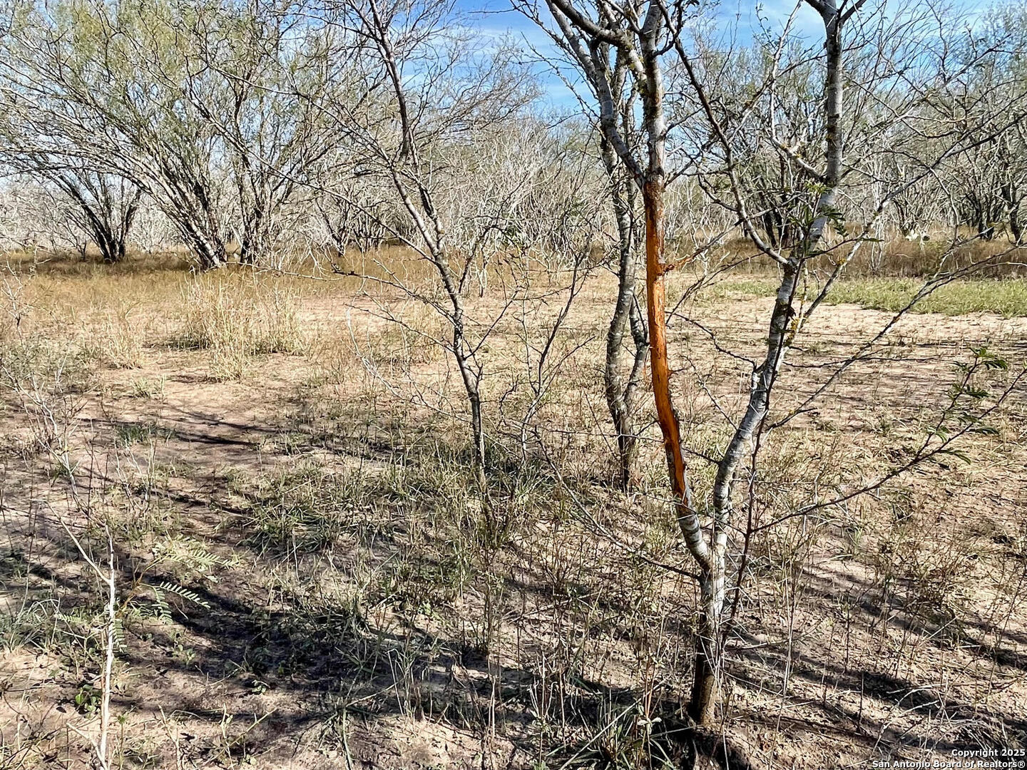 Tract 1 County Road 158 , Kenedy, TX, 78119 | 1834541 | Realty Texas LLC