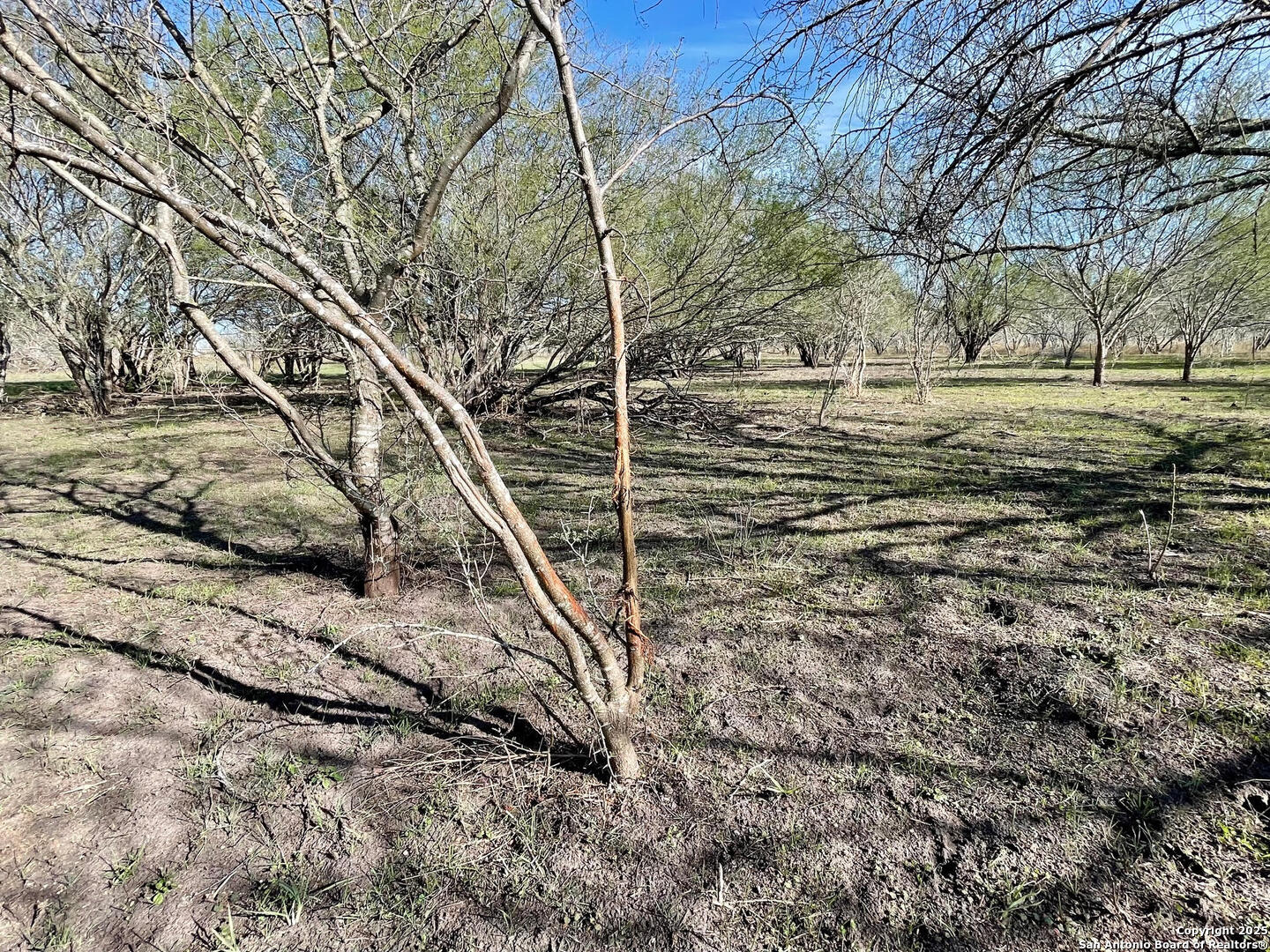 Tract 1 County Road 158 , Kenedy, TX, 78119 | 1834541 | Realty Texas LLC