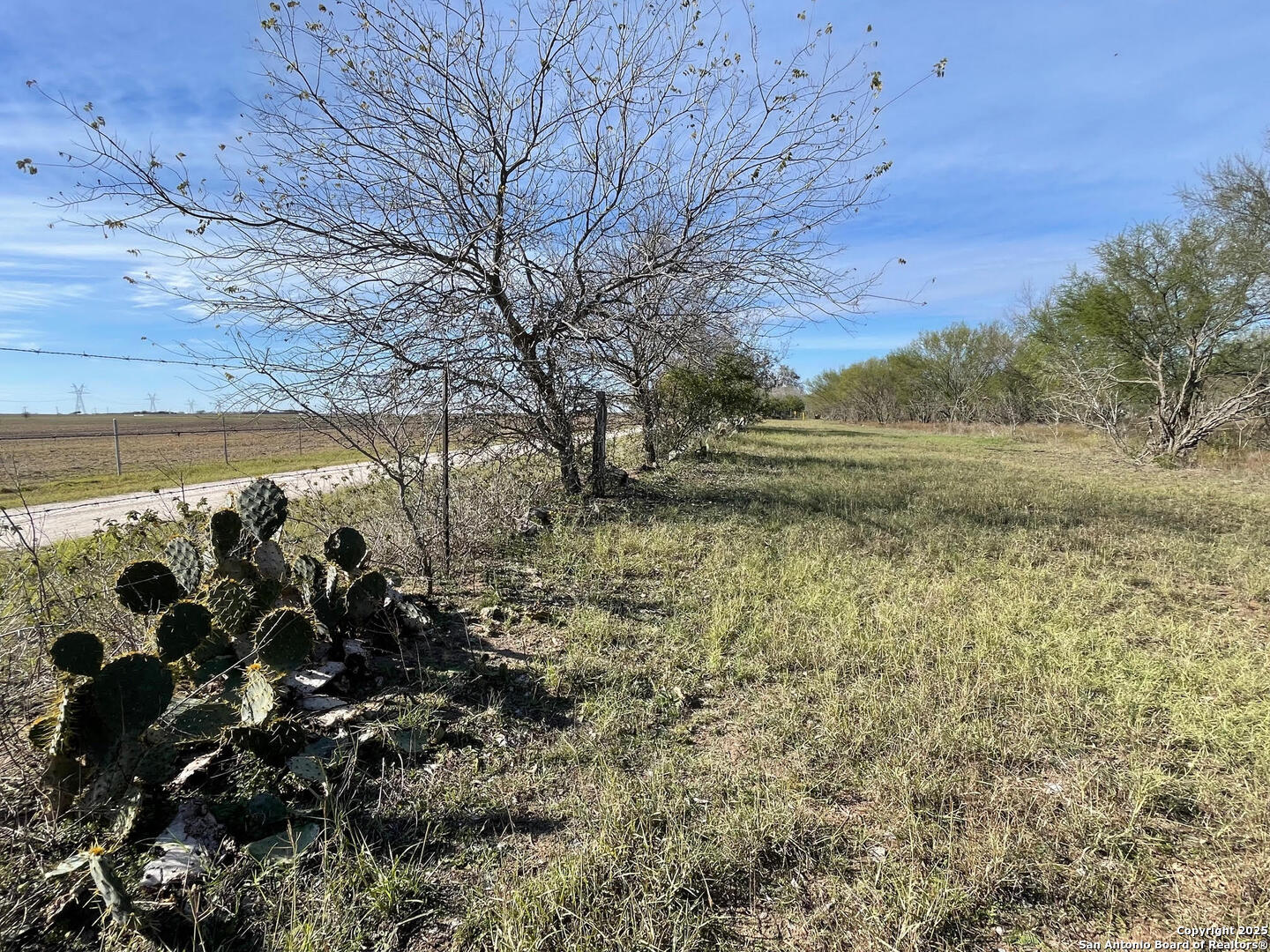 Tract 1 County Road 158 , Kenedy, TX, 78119 | 1834541 | Realty Texas LLC