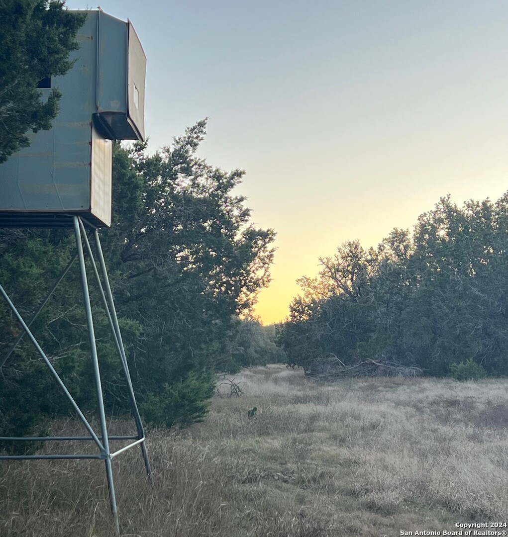 6511 Fm 311, SPRINGBRAN, TX, 78070 | 1832326 | Realty Texas LLC