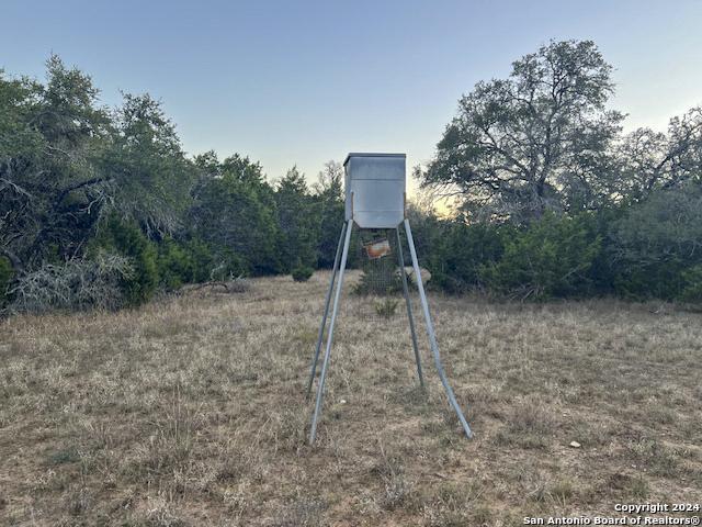 6511 Fm 311, SPRINGBRAN, TX, 78070 | 1832326 | Realty Texas LLC