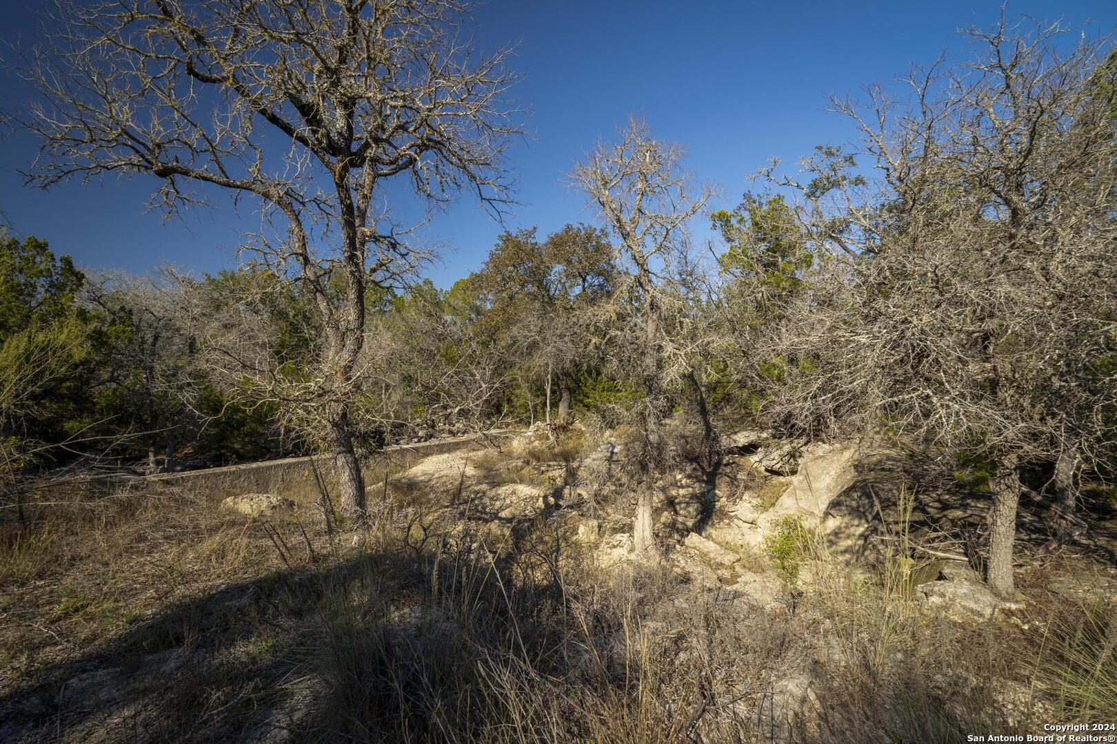 6511 Fm 311, SPRINGBRAN, TX, 78070 | 1832326 | Realty Texas LLC