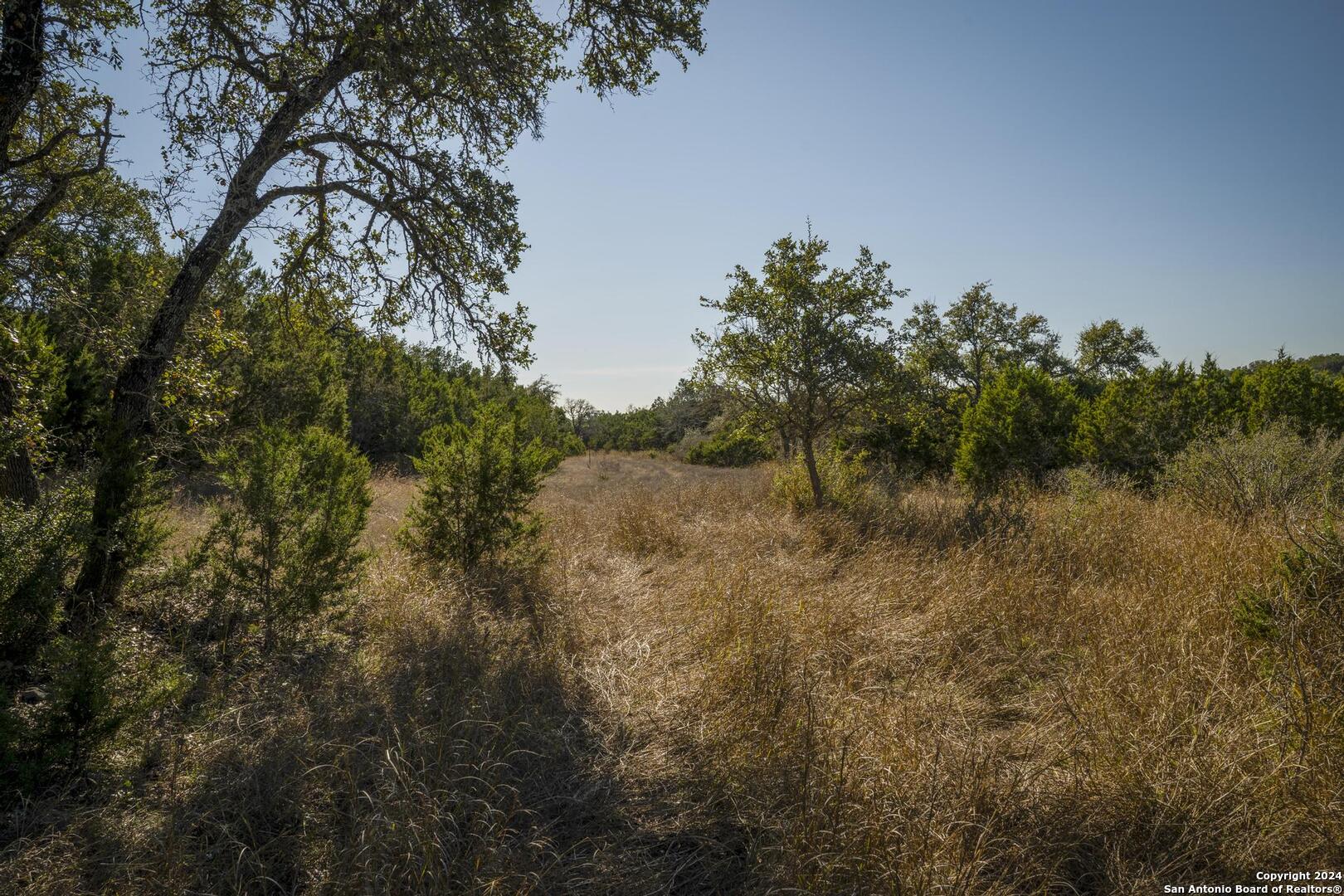 6511 Fm 311, SPRINGBRAN, TX, 78070 | 1832326 | Realty Texas LLC