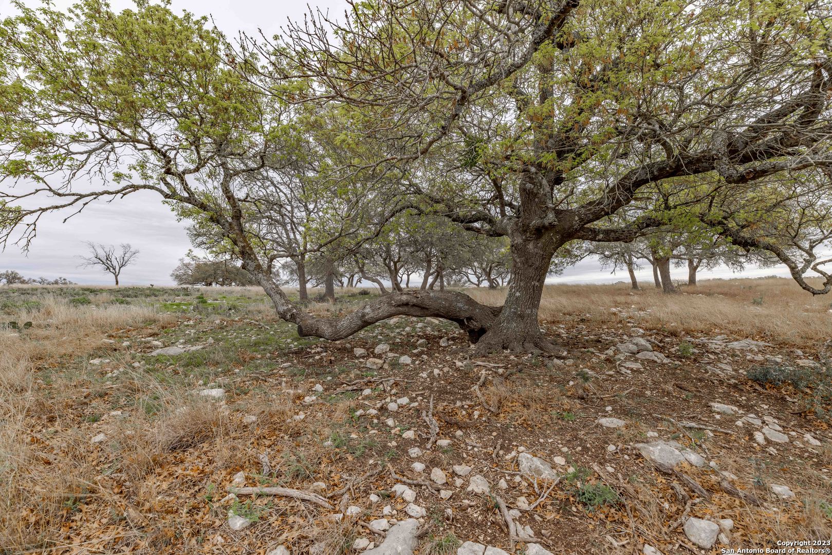 Lot-163 Cattlemens Crossing, KERRVILLE, TX, 78028 | 1832313 | Realty Texas LLC