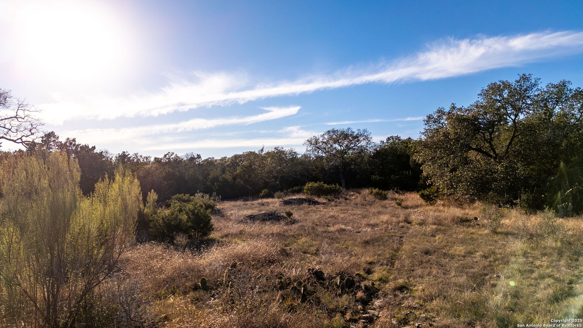 136 RESTLESS WIND, Spring Branch, TX, 78070 | 1835199 | Realty Texas LLC