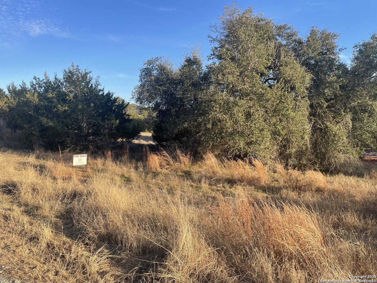 000 Rockin J Ranch Blk 2, Lot 424, Peter Kleid Loop , Blanco, TX, 78606 | 1837345 | Realty Texas LLC