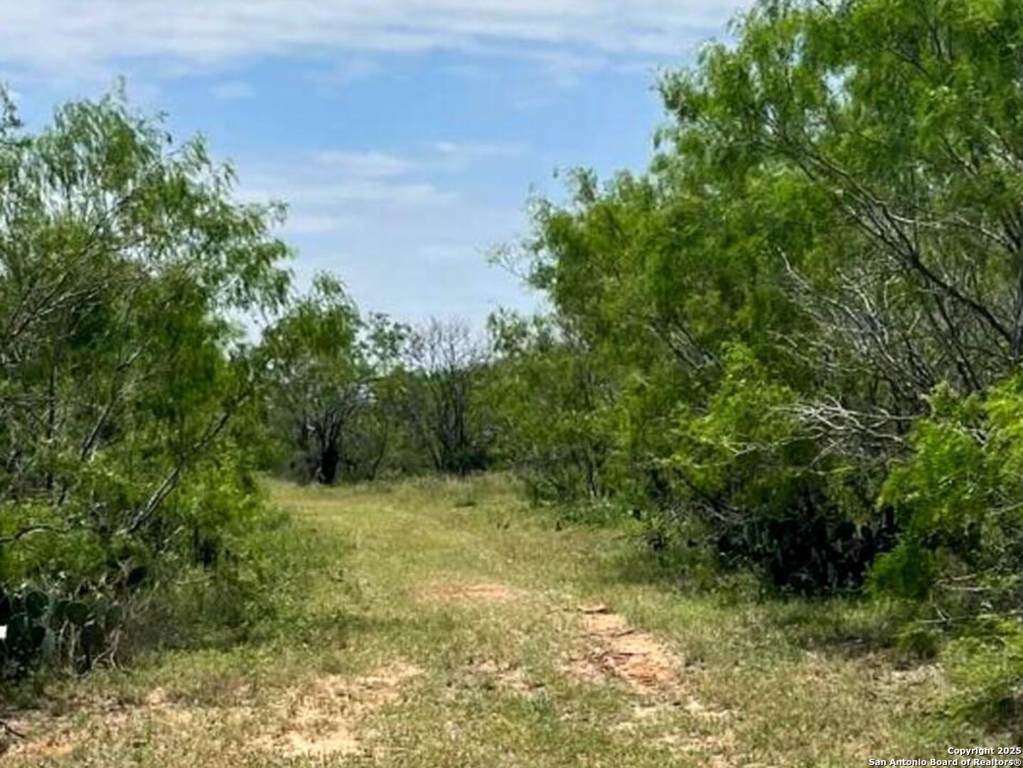 Cr-327 Lot 8, JOURDANTON, TX, 78026 | 1838255 | Realty Texas LLC