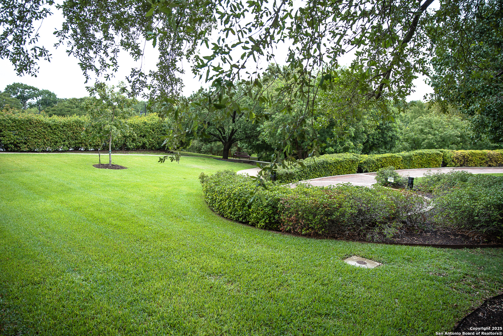 1 Towers Park Ln 1515 , San Antonio, TX, 78209 | 1836274 | Realty Texas LLC